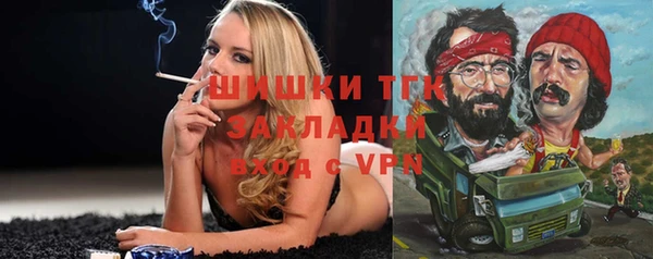 стафф Алзамай