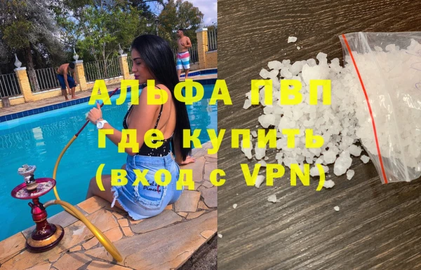 стафф Алзамай
