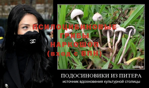 мяу мяу мука Алексеевка