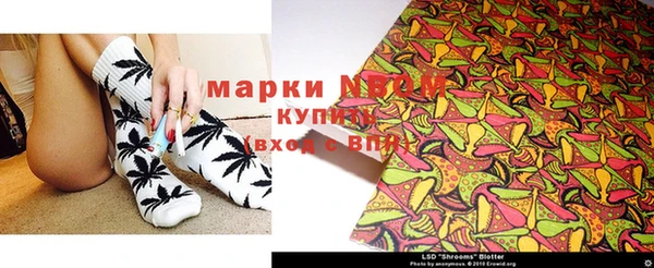 стафф Алзамай