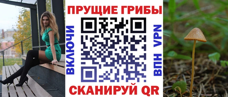 Галлюциногенные грибы MAGIC MUSHROOMS  Петрозаводск 