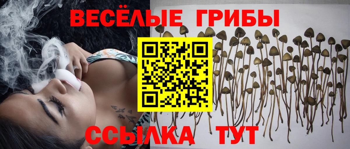 Петрозаводск  Псилоцибиновые грибы мухоморы  Вход с VPN  Псилоцибиновые грибы GOLDEN TEACHER 