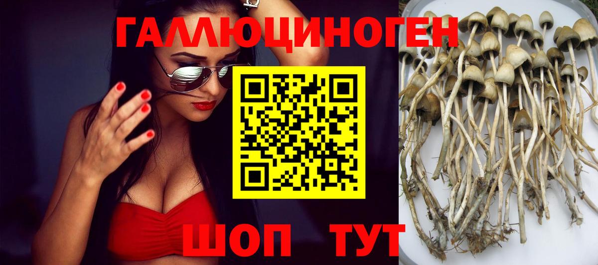 Галлюциногенные грибы Cubensis Петрозаводск